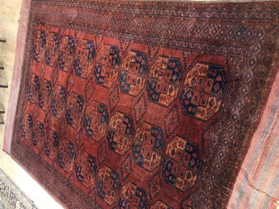 A late 19th century Afghan red ground carpet 330 x 224cm